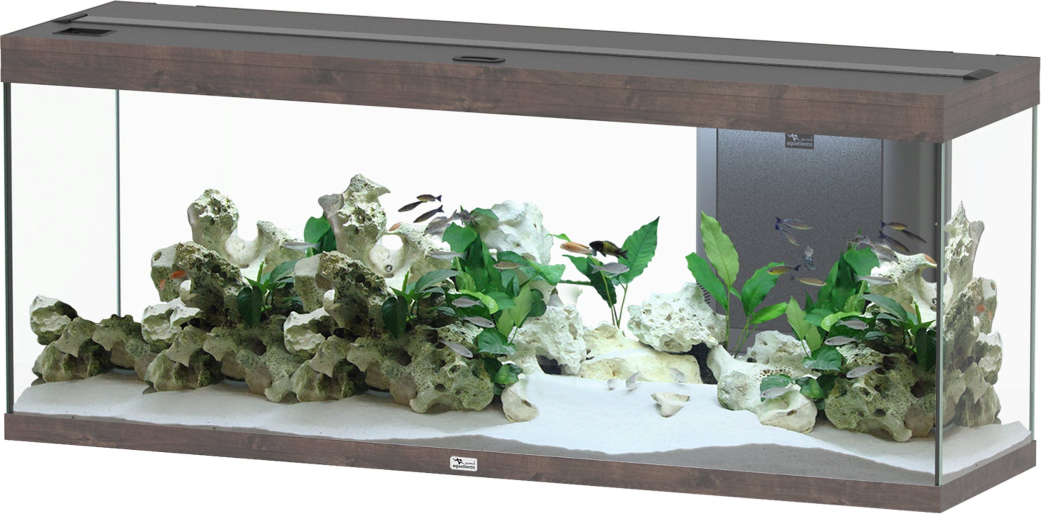 Aquatlantis Splendid Ultra 300 Wildeiche Dunkel Aquarium - 1 Set