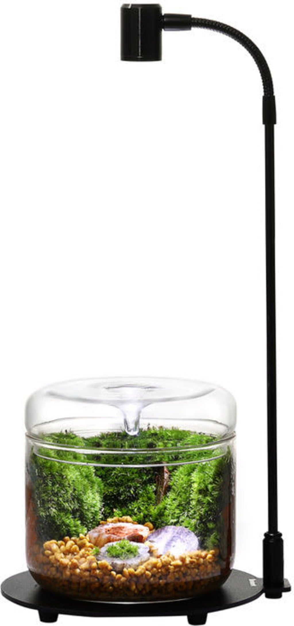 Bioloark Lámpara Wabi-Kusa DX-03 - 1 ud.