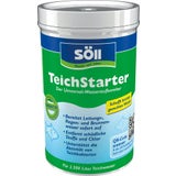 Söll TeichStarter