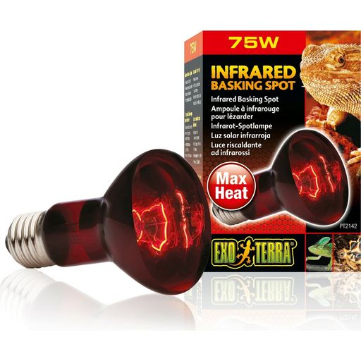 Exo Terra Infrarot-Spotlampe Heat GL - R20/75 W