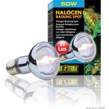 Exo Terra Sun Glo Halogen