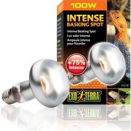 Exo Terra Intense Basking Spot - R25/100W