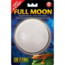 Exo Terra Full Moon - 1 Pc