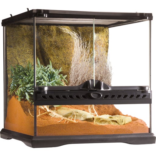 Exo Terra Glass Terrarium 12"x12"x12" - Pangea Reptile LLC