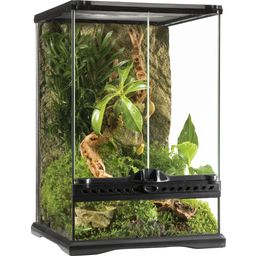 Mini Glass Terrarium - Mini/Tall