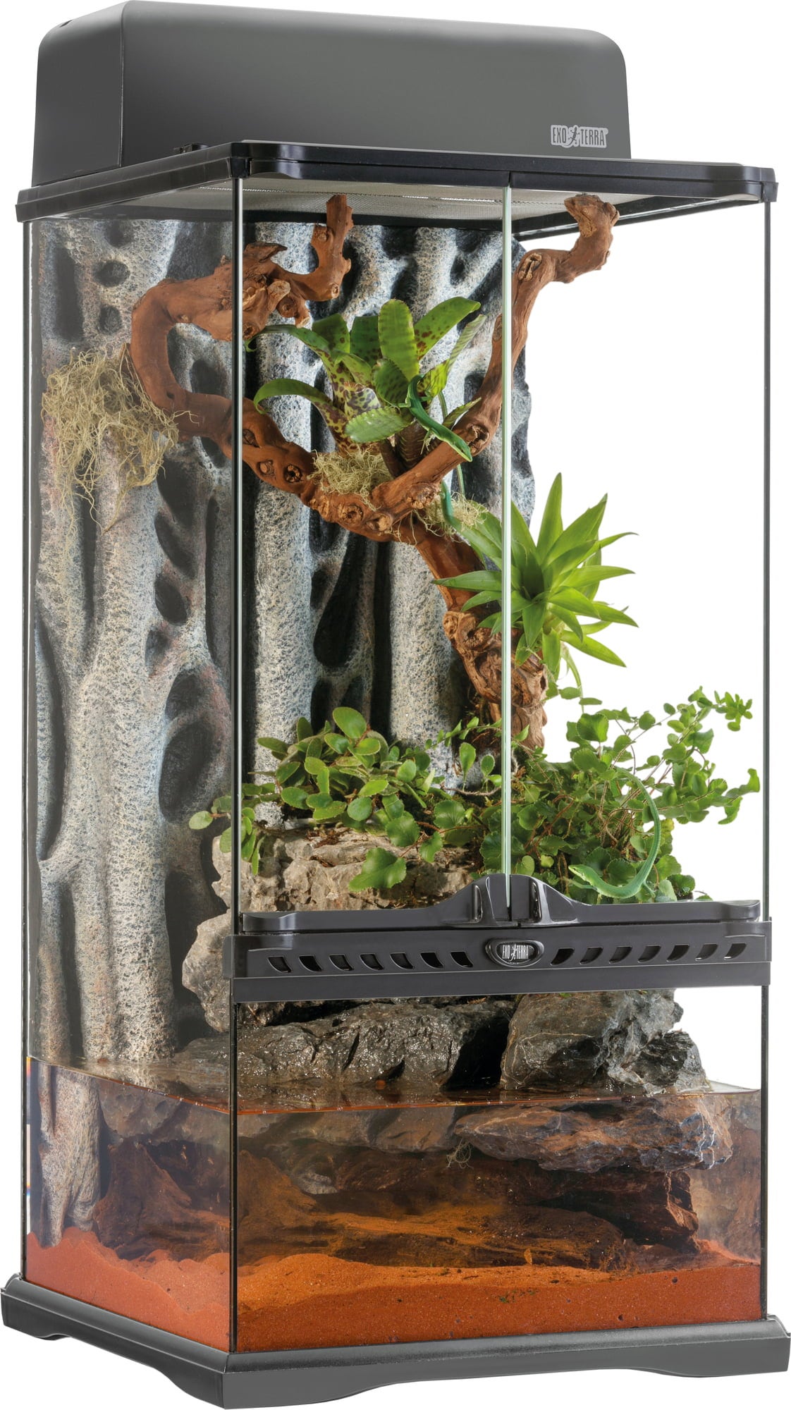 Exo Terra Natural Paludarium