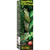 Exo Terra Dripper Plant with Pump