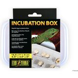 Exo Terra Inkubacijska škatla