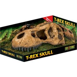 Exo Terra T-Rex koponya - M
