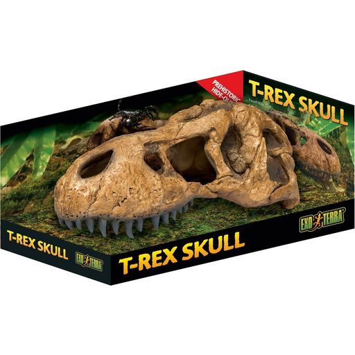 Exo Terra Cráneo de T-Rex - M