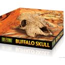 Exo Terra Buffalo Skull - 1 Pc