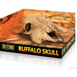 Exo Terra Buffalo Skull - 1 Pc