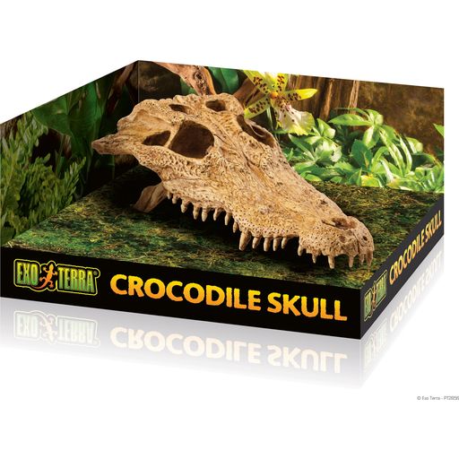 Exo Terra Crocodile Skull - 1 Pc