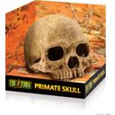 Exo Terra Primate Skull - 1 Pc