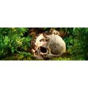 Exo Terra Primaten schedel - 1 stuk