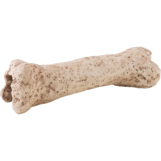 Exo Terra Dinosaur Bone - 1 Pc