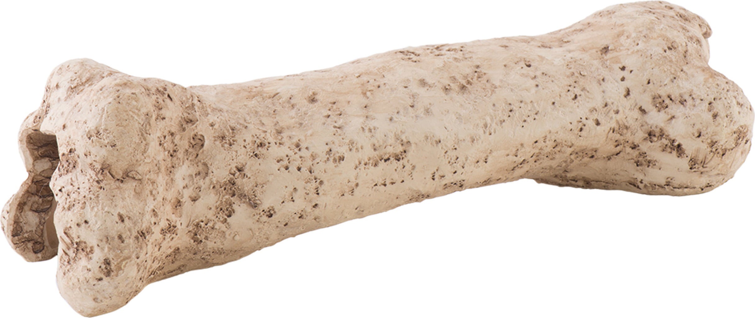 Exo Terra Dinosaur Bone - 1 Pc