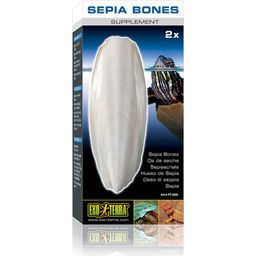 Exo Terra Sepia Bone for Turtles
