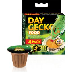 Exo Terra Day Gecko Food, Pack of 4