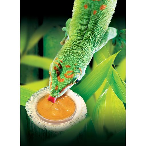 Exo Terra Nourriture pour Gecko Diurne - Lot de 4 - Lot de 4