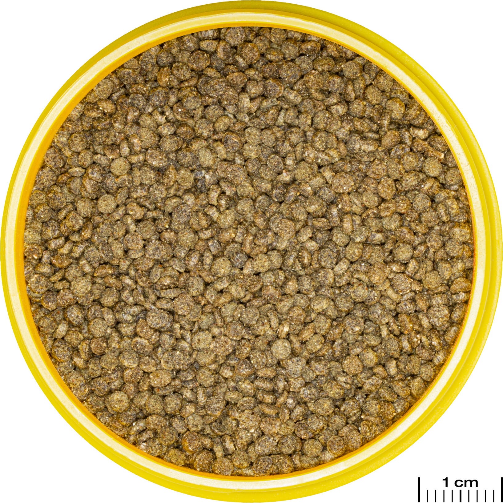 JBL PRONOVO GOURAMI GRANO S - 250ml CLICK