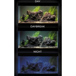 Aquarium avec Meuble UltraScape 60 - Forest - 1 ensemble