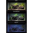 Aquael UltraScape 90 forest akwarium z szafką - 1 zestaw