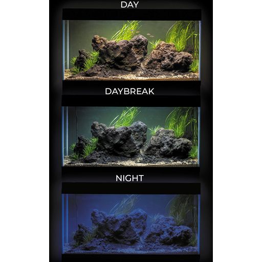 Aquarium avec Meuble UltraScape 90 - Forest - 1 ensemble