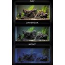 Aquael UltraScape 60 forest Aquarium - 1 stuk