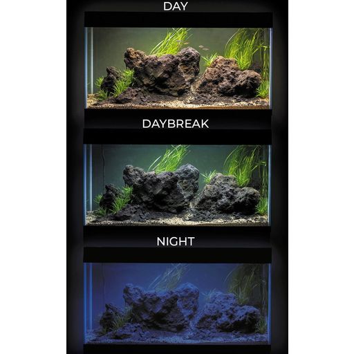 Aquael UltraScape 60 forest akvárium - 1 db