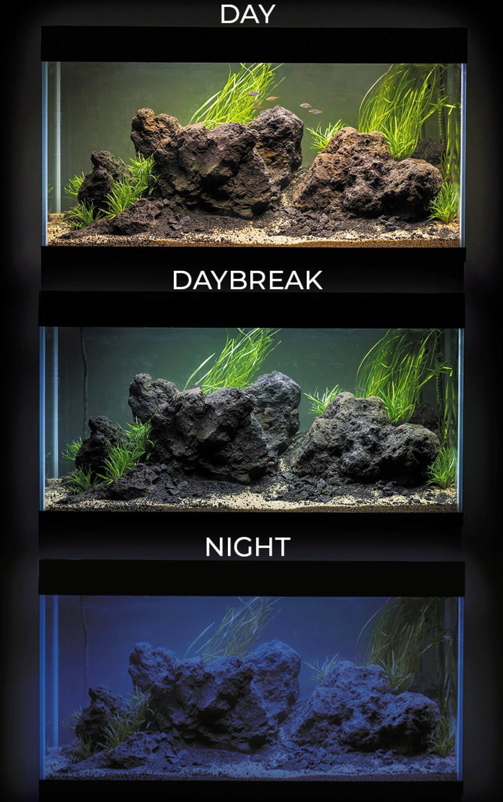 Aquael Acquario UltraScape 60 Forest - 1 pz.