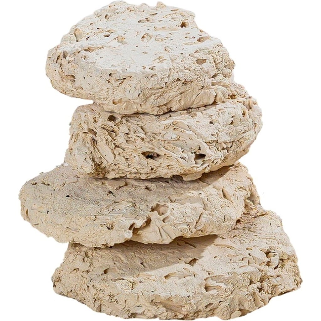 ARKA Reef Ceramic Reef Plates Olibetta Online Shop