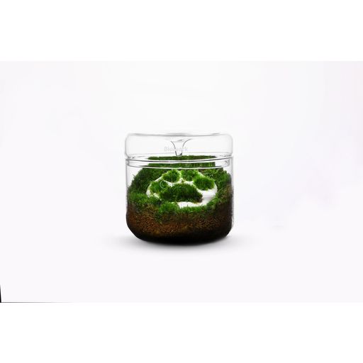 Bioloark Luji Glass Cup MY-150 - 1 Pc