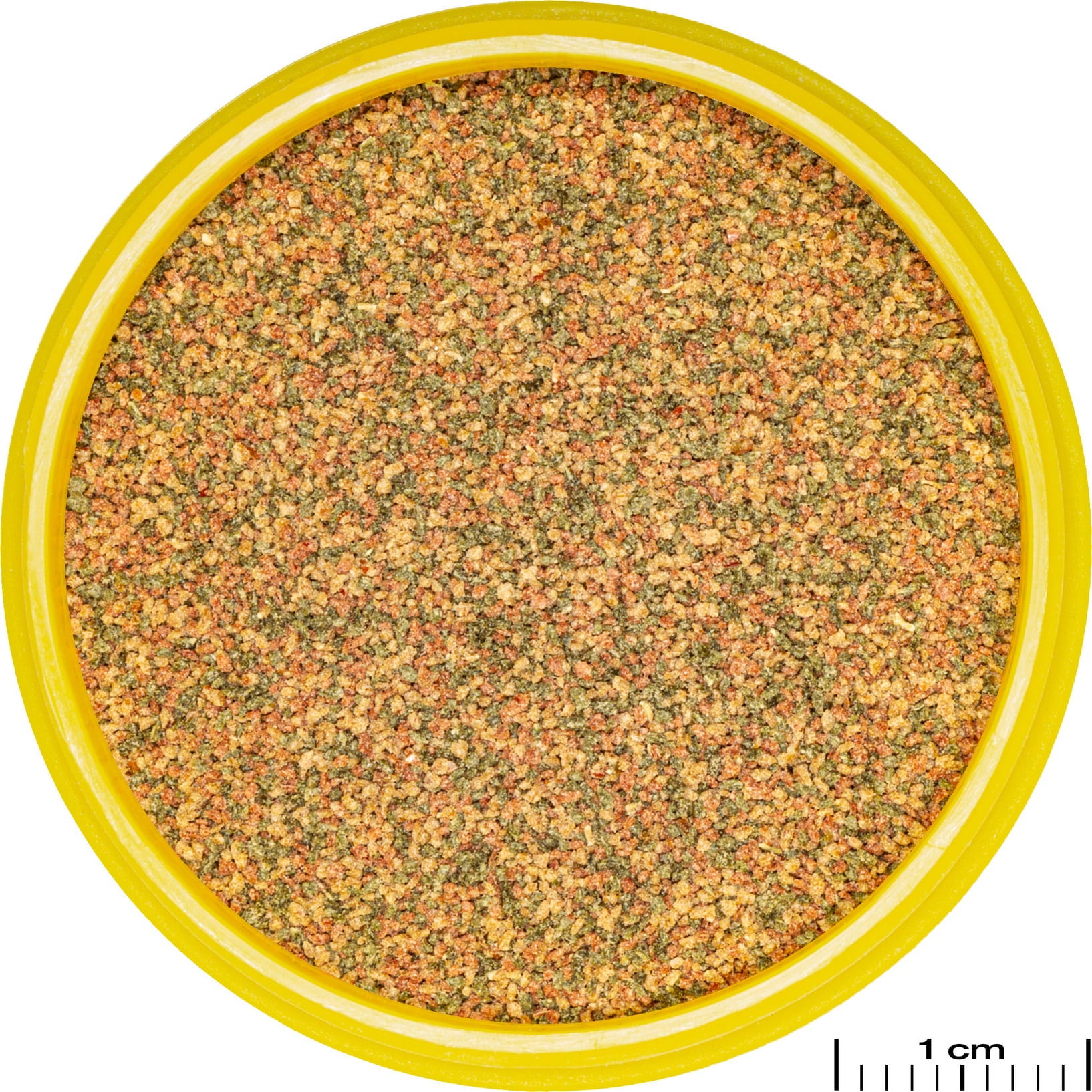 JBL PRONOVO BEL GRANO XXS