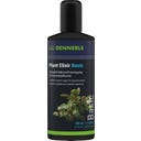 Dennerle Plant Elixir Basic - 250 ml