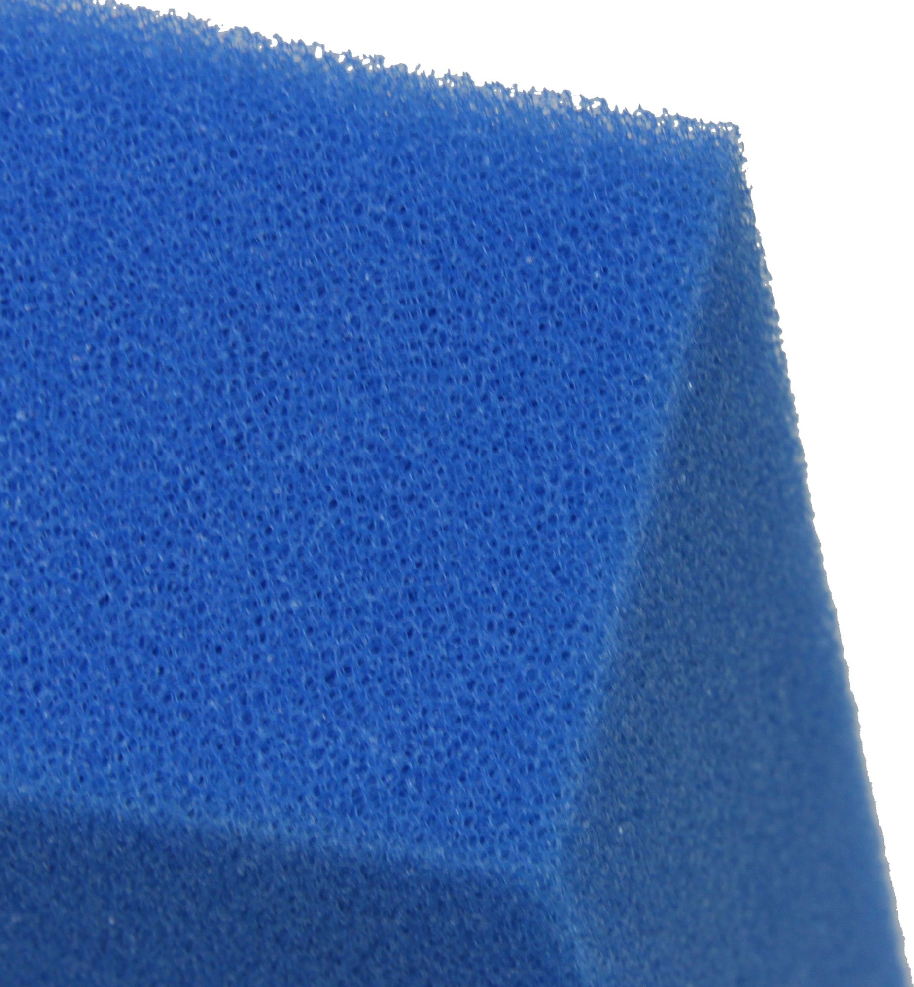 JBL Filterschaum blau - 50x50x10cm - fein