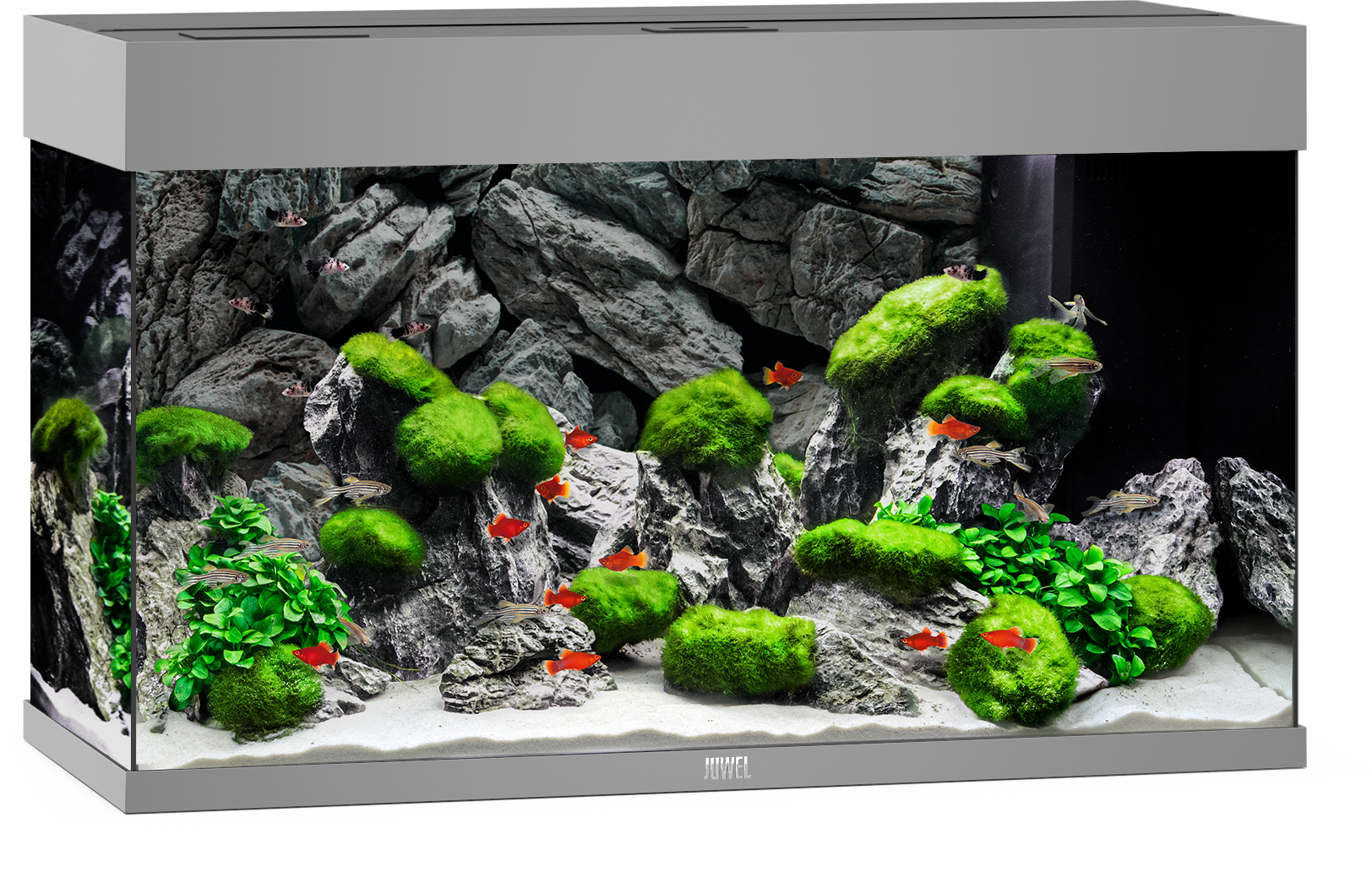 Juwel Rio 125 LED Aquarium - grau