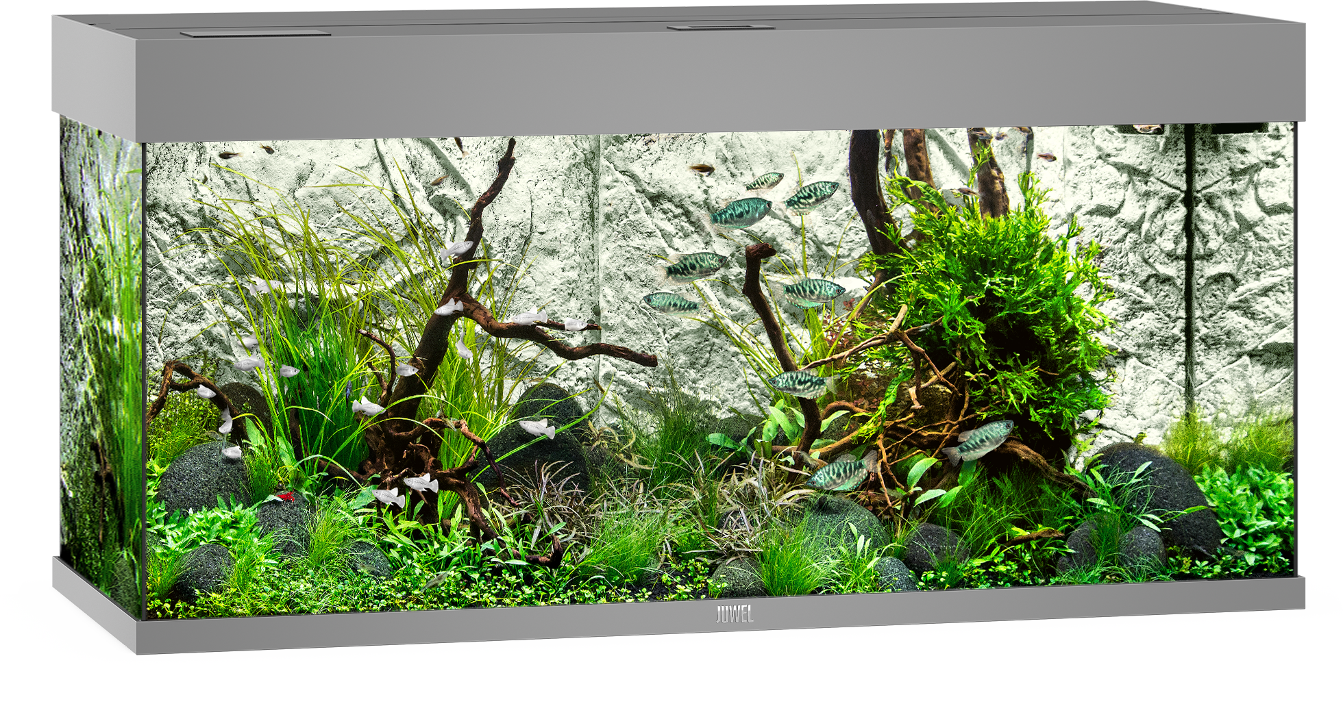 Juwel Rio 180 LED Aquarium - grau