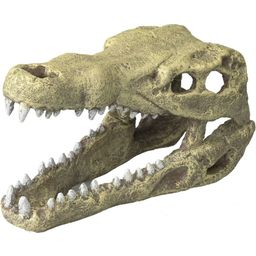 Europet Crâne de Crocodile - M