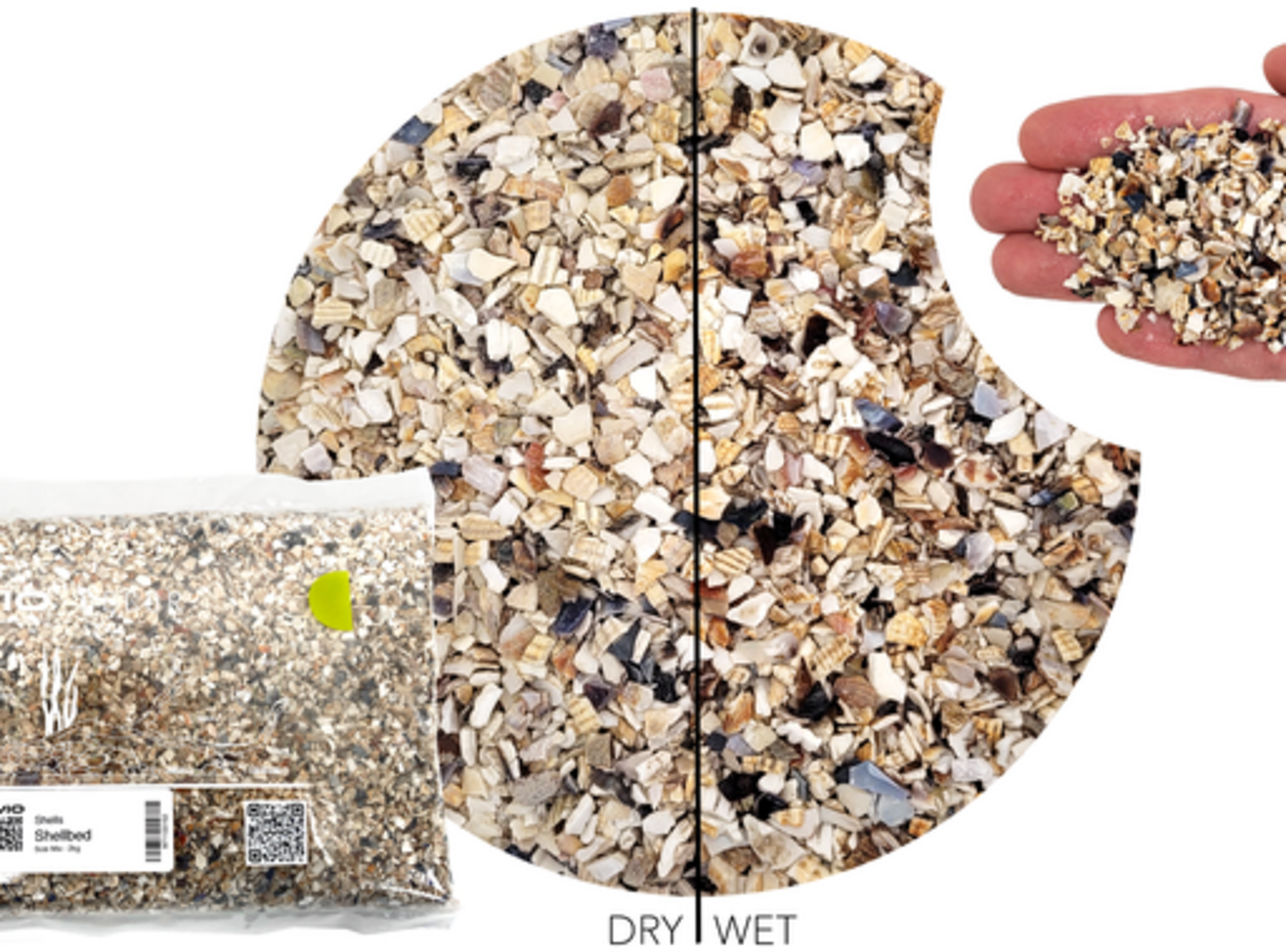 WIO Shellbed - Mix2