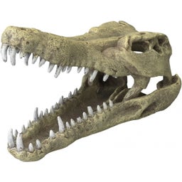 Europet Crocodile Head - L