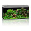 Juwel Rio 450 LED akvárium - Szürke