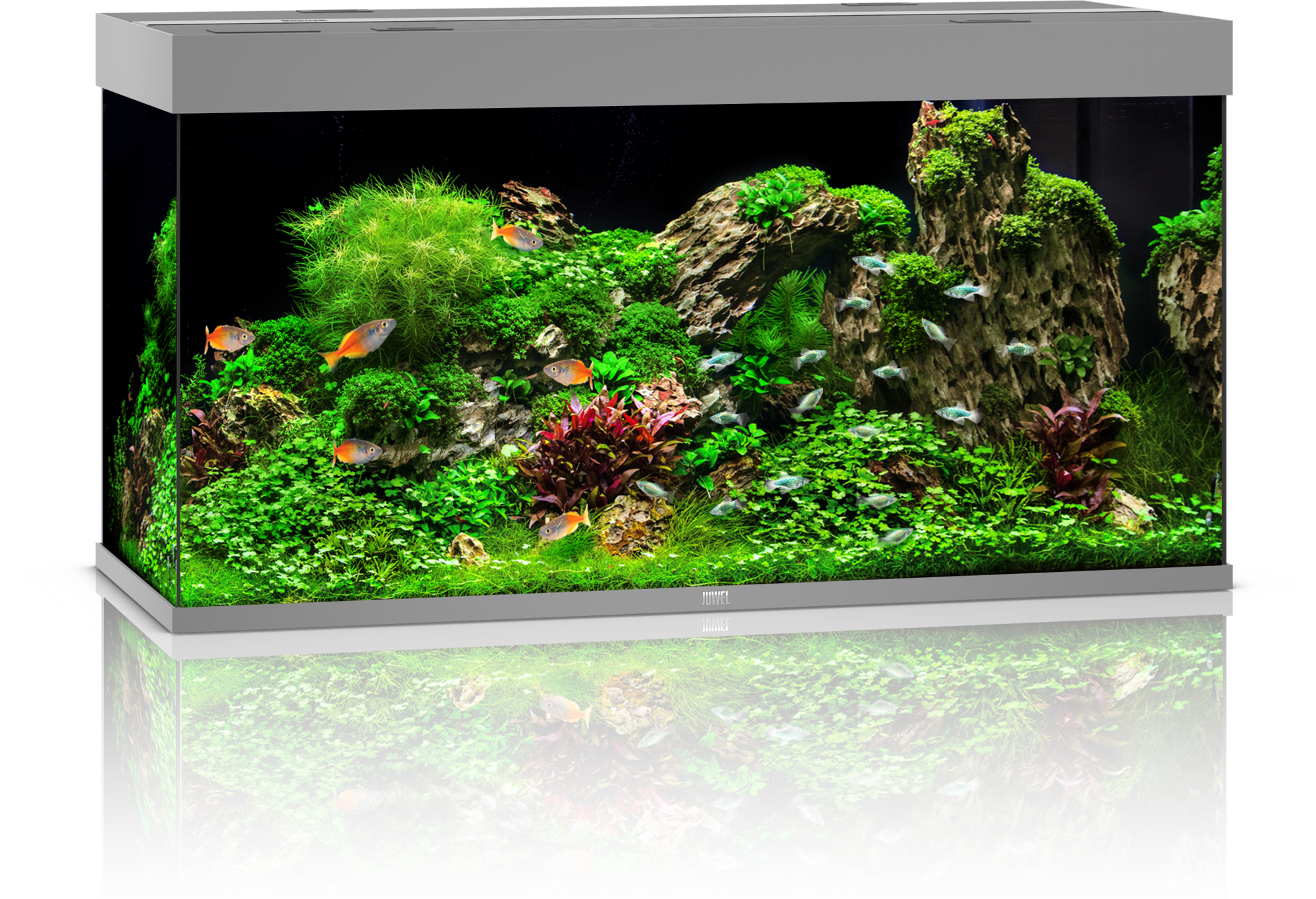 Juwel Rio 450 LED Aquarium - grau