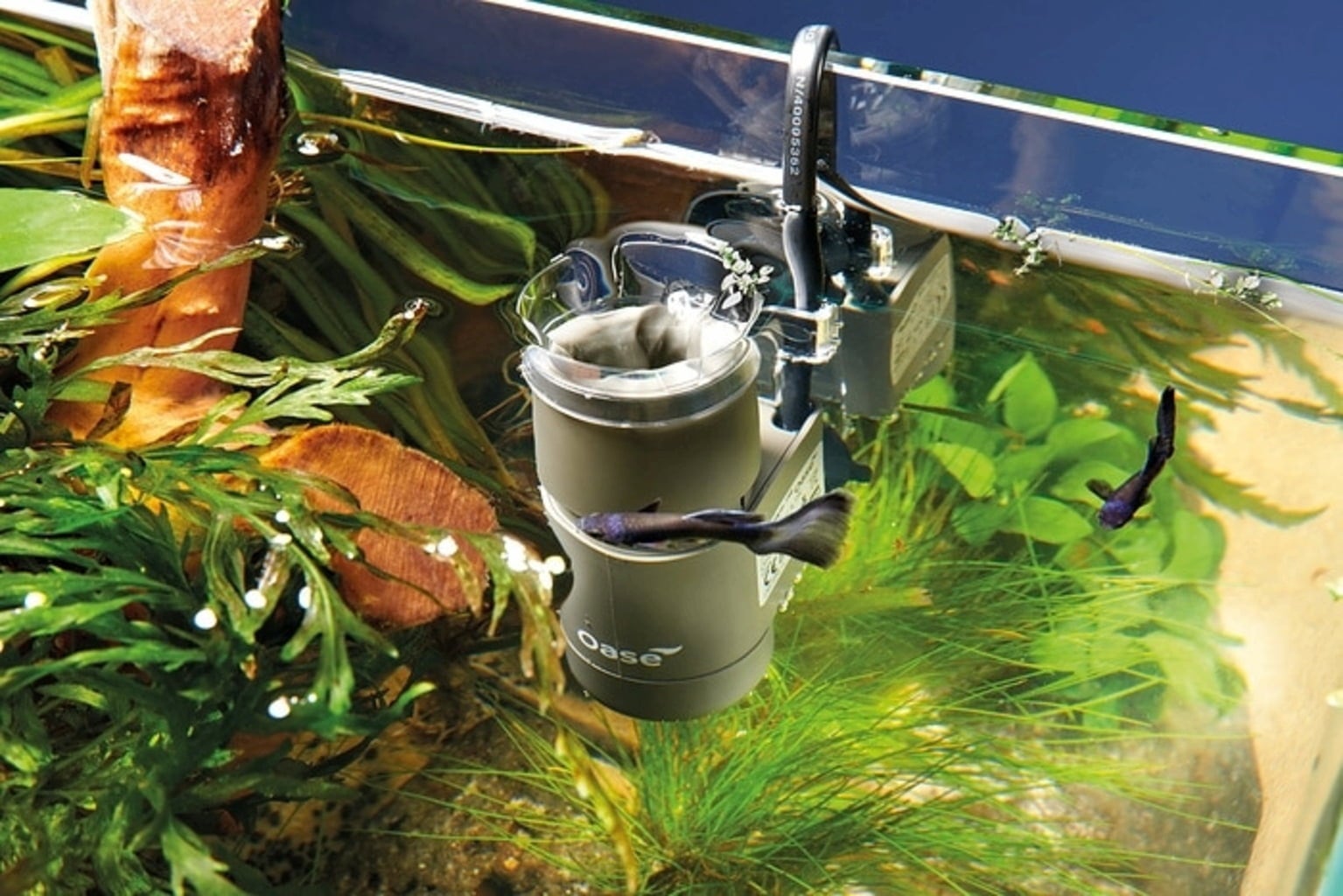 Oase CrystalSkim - 350