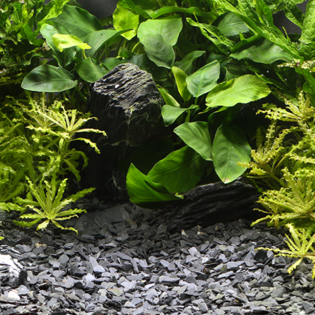 Dennerle Natural Gravel Kongo 3-8 mm - 2,5 kg