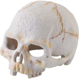 Exo Terra Crâne de Primate - 1 pcs