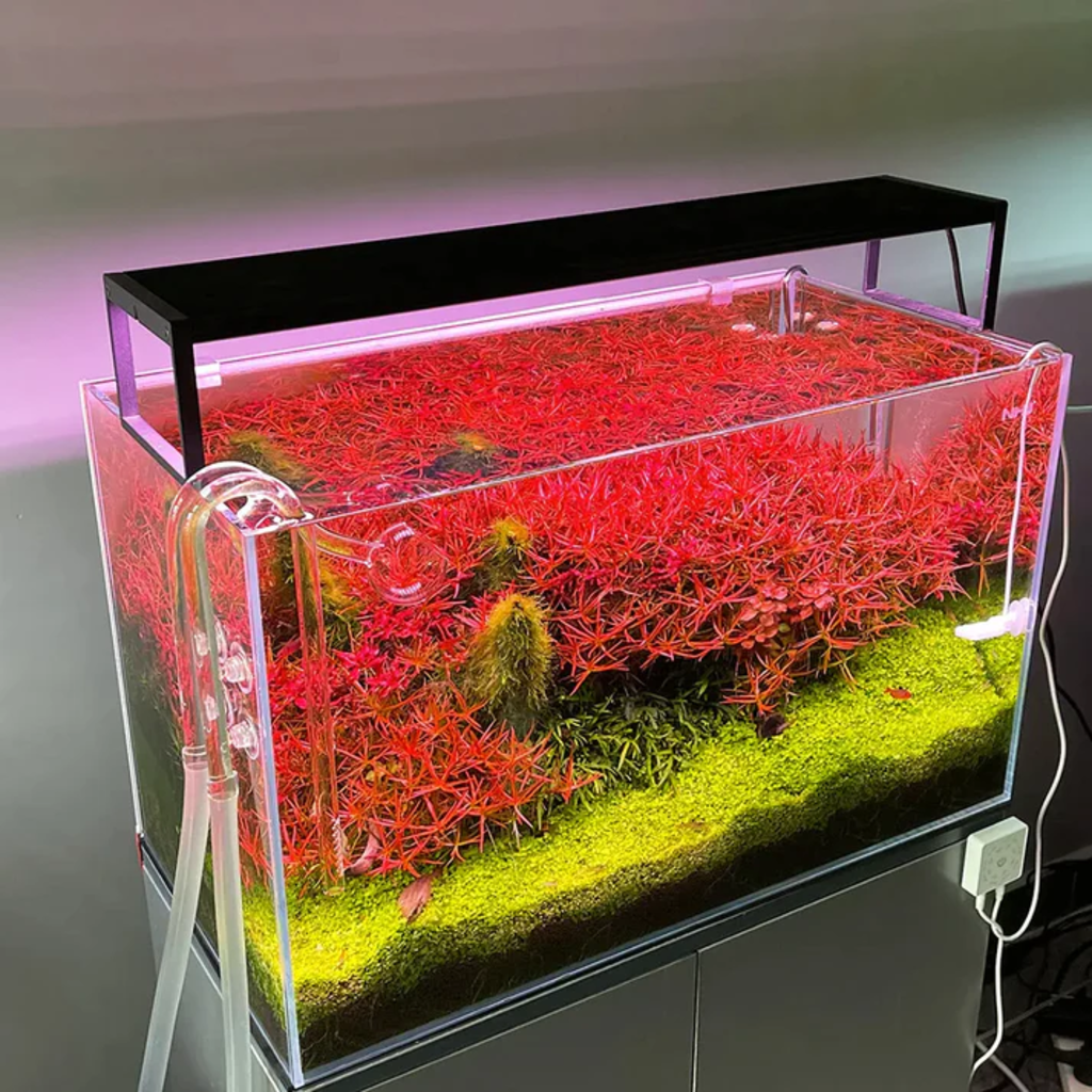 Chihiros LED WRGB2 Versión Slim Black-DE - 90cm
