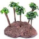 Anubias bart. var. nana Bonsai auf Bonsai Palme - 1 Stk