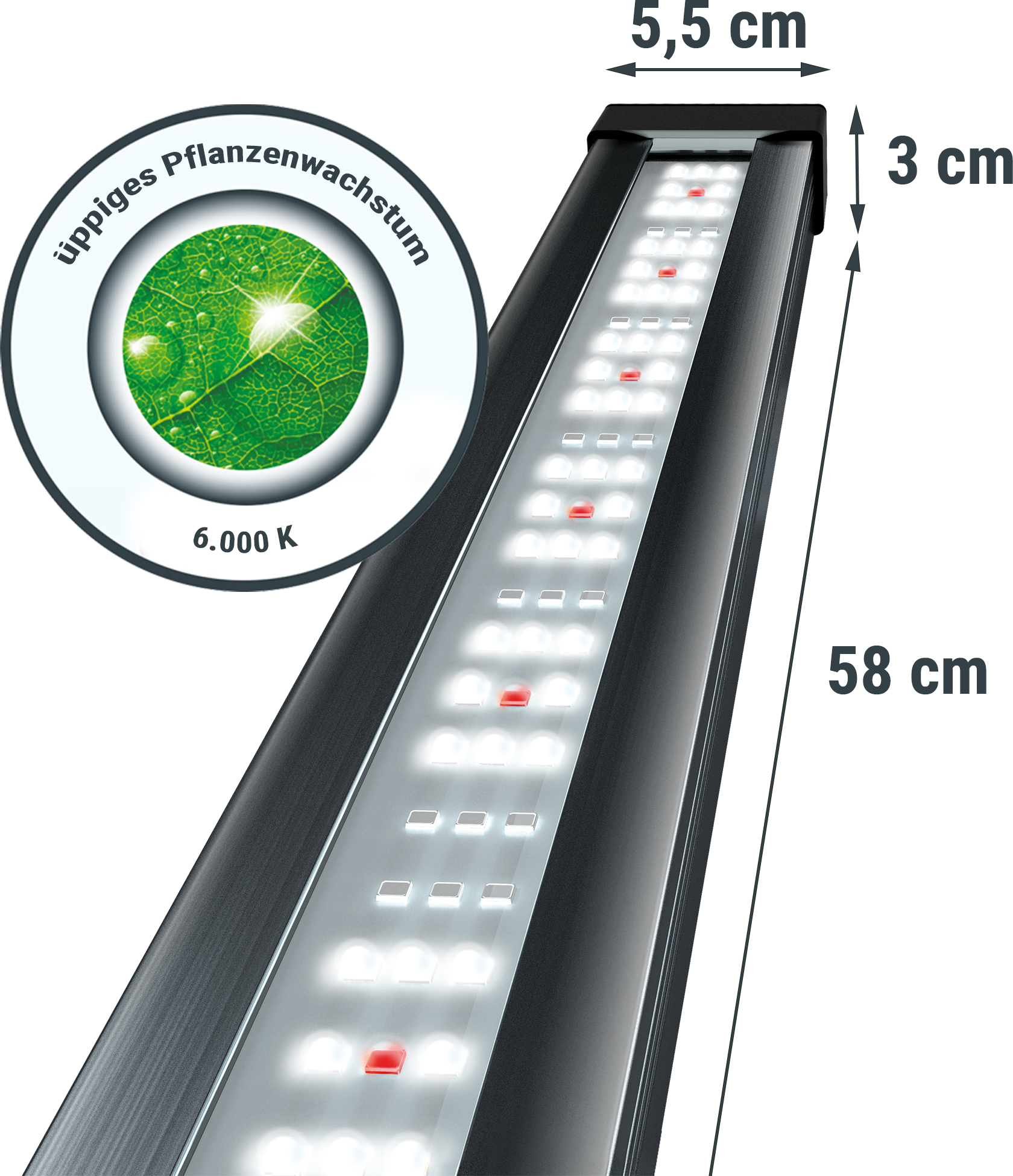 Tetra Tetronic LED ProLine - 580