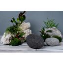 Oli Pebbles Decorative Stones, Black 9 - 12 cm - 20 kg